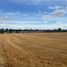  Land for sale in Araucania, Vilcun, Cautin, Araucania