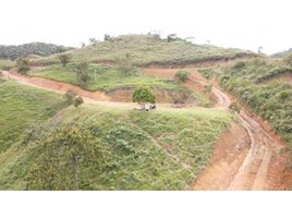  Land for sale in San Roque, Antioquia, San Roque