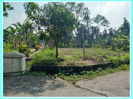 Maison 3 chambre à vendre à Prambanan, Jawa Tengah, Prambanan, Klaten, Jawa Tengah