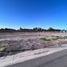  Land for sale in Maipu, Mendoza, Maipu