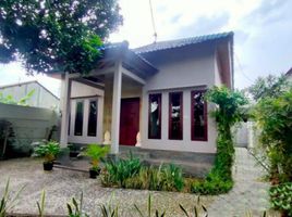 3 Schlafzimmer Haus zu verkaufen in Banyuwangi, East Jawa, Giri