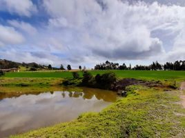 Estudio Villa en venta en Sutatausa, Cundinamarca, Sutatausa