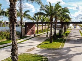 3 Schlafzimmer Appartement zu verkaufen in Merida, Yucatan, Merida