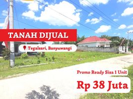  Land for sale in Banyuwangi, East Jawa, Muncar, Banyuwangi