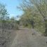  Land for sale in Tzucacab, Yucatan, Tzucacab