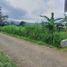  Land for sale in Malang Regency, East Jawa, Karangploso, Malang Regency