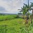  Land for sale in Malang Regency, East Jawa, Karangploso, Malang Regency