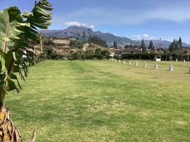  Terrain for sale in Otavalo, Otavalo, Otavalo