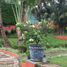  House for sale in Huitzilac, Morelos, Huitzilac