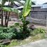  Land for sale in Bantul, Yogyakarta, Kasihan, Bantul