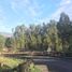  Land for sale in Chile, Puchuncavi, Valparaiso, Valparaiso, Chile