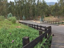  Land for sale in Chile, Puchuncavi, Valparaiso, Valparaiso, Chile