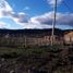  Grundstück zu verkaufen in Cushamen, Chubut, Cushamen