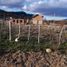  Grundstück zu verkaufen in Cushamen, Chubut, Cushamen