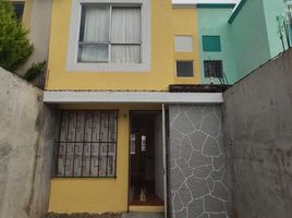 2 Schlafzimmer Haus zu verkaufen in Temoaya, Mexico, Temoaya
