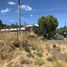  Terreno (Parcela) en venta en Chile, Nacimiento, Biobío, Biobío, Chile