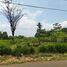  Land for sale in Jin De Yuan Temple, Tambora, Senen