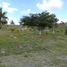  Grundstück zu verkaufen in Othon P Blanco, Quintana Roo, Othon P Blanco