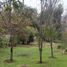  Terreno (Parcela) en venta en Chile, San Jode de Maipo, Cordillera, Santiago, Chile