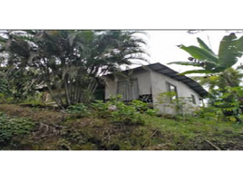 3 Schlafzimmer Appartement zu verkaufen in Remedios, Chiriqui, Remedios, Remedios, Chiriqui