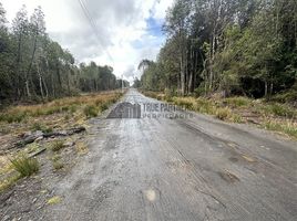  Terreno (Parcela) en venta en Llanquihue, Los Lagos, Puerto Montt, Llanquihue