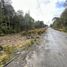  Terreno (Parcela) en venta en Llanquihue, Los Lagos, Puerto Montt, Llanquihue