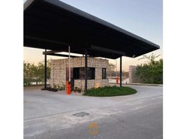  Terreno (Parcela) en venta en Merida, Yucatán, Merida, Yucatán