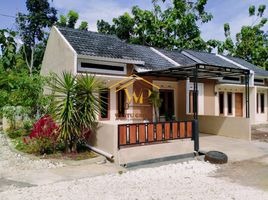 2 Bedroom Villa for sale in Tepus, Gunung Kidul, Tepus