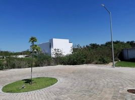  Grundstück zu verkaufen in Merida, Yucatan, Merida, Yucatan