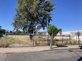  Terreno (Parcela) en venta en Maule, Molina, Curicó, Maule