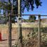  Terreno (Parcela) en venta en Maule, Molina, Curicó, Maule