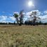  Terreno (Parcela) en venta en Los Ríos, La Unión, Ranco, Los Ríos