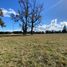  Terreno (Parcela) en venta en Los Ríos, La Unión, Ranco, Los Ríos