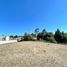  Terreno (Parcela) en venta en Chile, Nueva Imperial, Cautín, Araucanía, Chile
