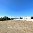  Terreno (Parcela) en venta en Chile, Nueva Imperial, Cautín, Araucanía, Chile
