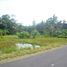  Land for sale in Ubud, Gianyar, Ubud