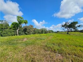 Studio Villa zu verkaufen in La Chorrera, Panama Oeste, Barrio Colon