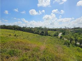 Estudio Casa en venta en Barrio Colón, La Chorrera, Barrio Colón