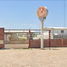  Land for sale in San Ignacio, Sinaloa, San Ignacio