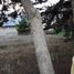  Grundstück zu verkaufen in Bariloche, Rio Negro, Bariloche