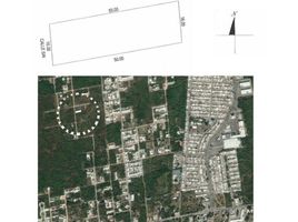  Grundstück zu verkaufen in Merida, Yucatan, Merida
