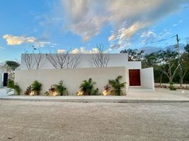 Maison 4 chambre à vendre à Conkal, Yucatan, Conkal