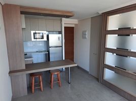 1 Habitación Apartamento en alquiler en Santiago, Santiago, Santiago, Santiago
