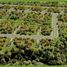  Land for sale in Calamba City, Calabarzon, Calamba City