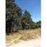  Land for sale in Xaltocan, Tlaxcala, Xaltocan, Tlaxcala