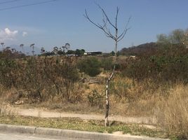  Terreno (Parcela) en venta en Zapopan, Jalisco, Zapopan, Jalisco