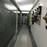 807 m² Office for rent in Jalisco, Zapopan, Jalisco