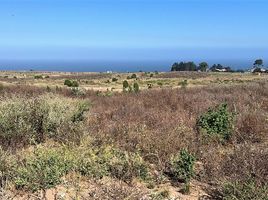  Terreno (Parcela) en venta en Chile, Quintero, Valparaíso, Valparaíso, Chile