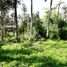  Land for sale in Tampak Siring, Gianyar, Tampak Siring