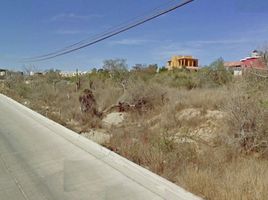 Studio Haus zu vermieten in La Paz, Baja California Sur, La Paz, Baja California Sur